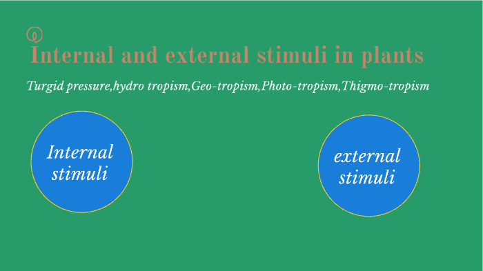Internal and external stimuli by Krystalyn Amador on Prezi