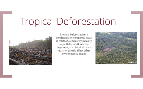 The Chemical Effects of Tropical Deforestation by R A on Prezi Next