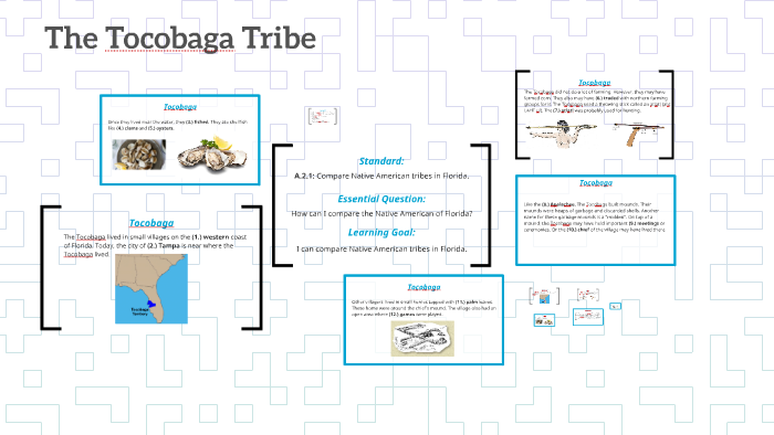 The Tocobaga Tribe by Chelsea Conley on Prezi