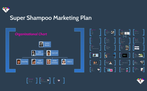 marketing plan for shampoo