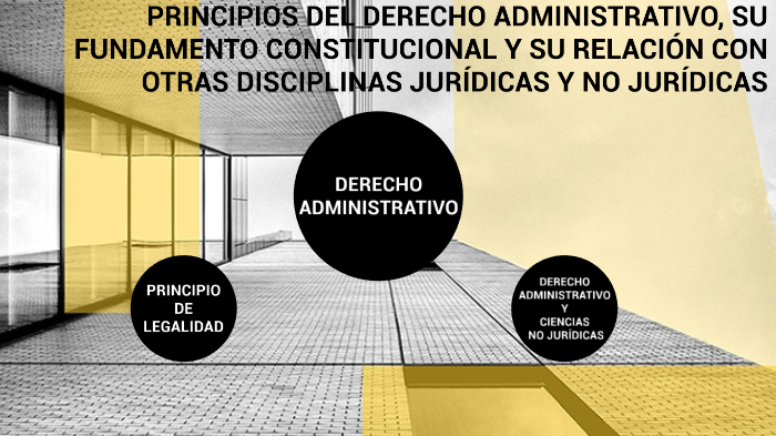 PRINCIPIOS DEL DERECHO ADMINISTRATIVO, SU FUNDAMENTO CONSTITUCIONAL Y