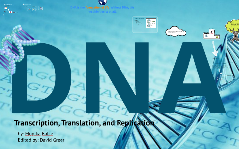 DNA - Replication, Transcription, and Translation by David Greer on Prezi