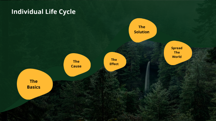 individual-life-cycle-by-brianna-wood