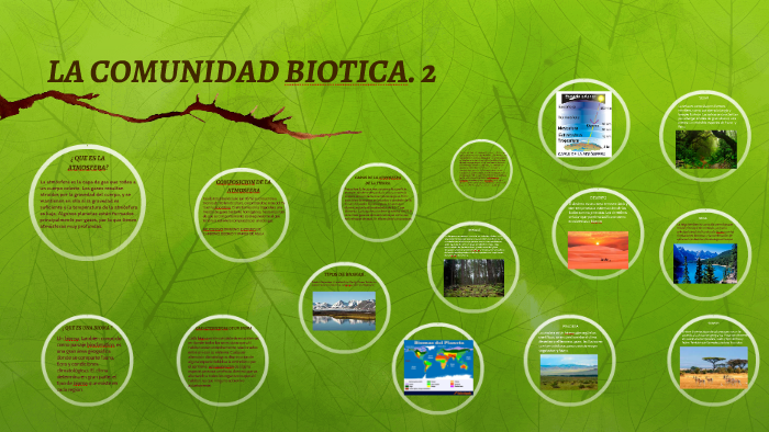 La Comunidad Biotica 2 By Edgar Rios