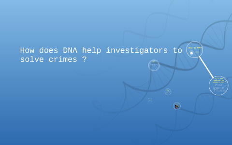 How does DNA help investigator to solve crimes ? by mahmoud hamada on Prezi