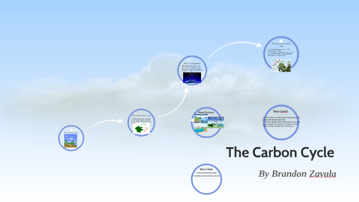 The Carbon Cycle by Brandon Zavala on Prezi
