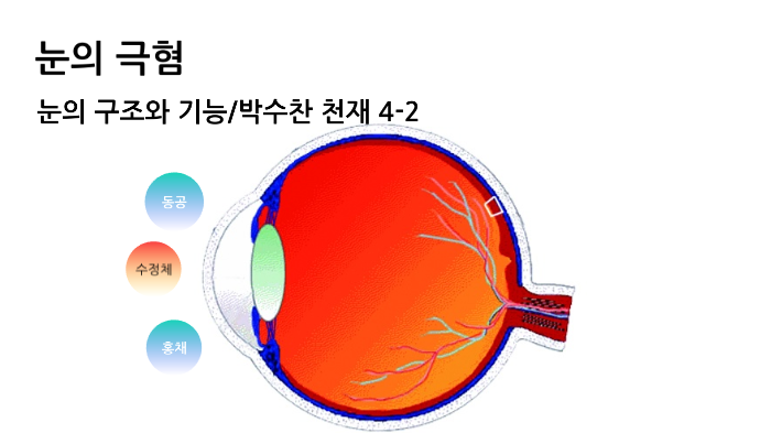 박수찬의 아름다운 눈 by 수찬 박 on Prezi