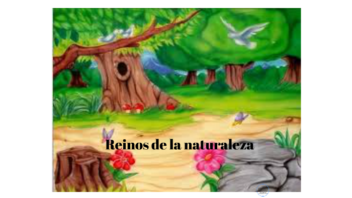 Reinos de la naturaleza by Mayerli Castillo on Prezi