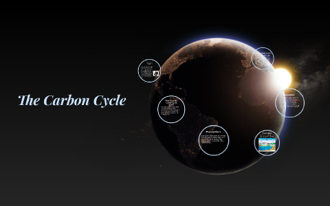 The Carbon Cycle by Laura Bradley on Prezi