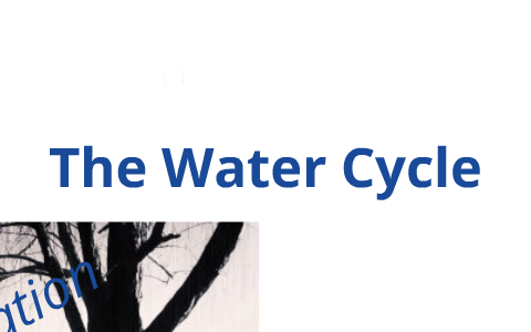 water cycle by Ashley Kleeven on Prezi