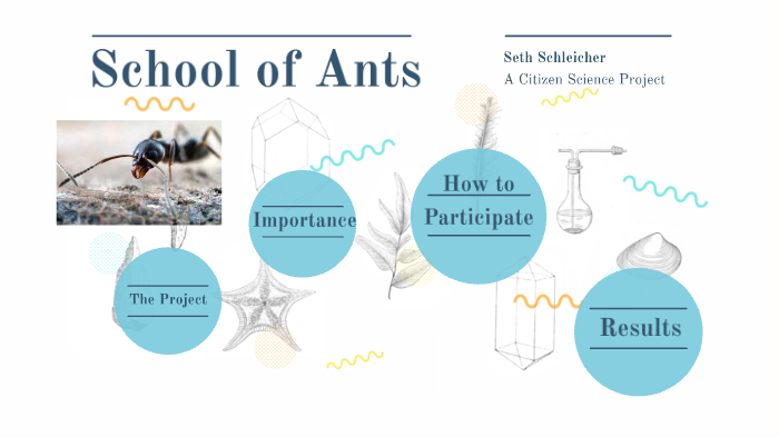 School of Ants by Seth Schleicher on Prezi