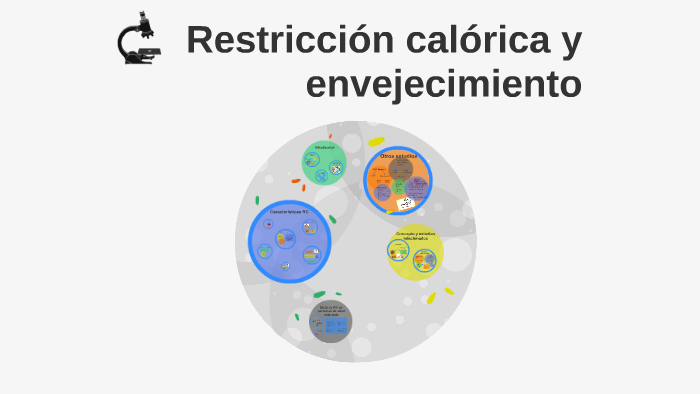 Restricción Calórica Y Envejecimiento By Pedro Rodríguez 6617