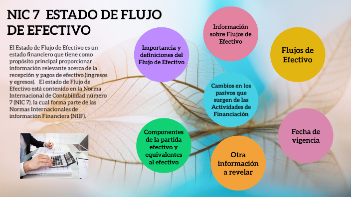 Estado De Flujo De Efectivo Nic 7
