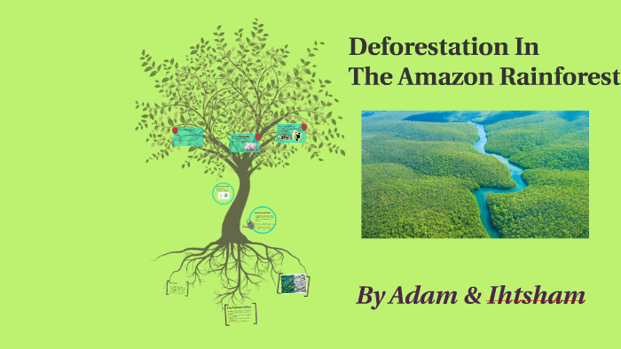 The Amazon Rainforest by Adam Wilkinson on Prezi