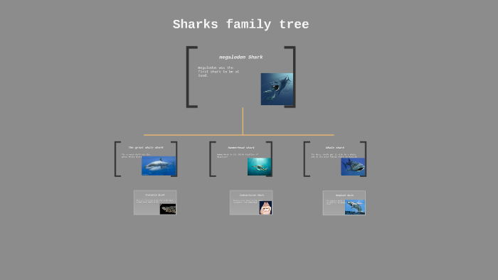 Sharks family tree by Sergio Morales on Prezi