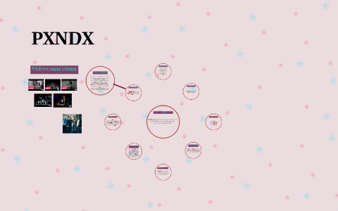 Los Osos Panda By Diana Hernández On Prezi