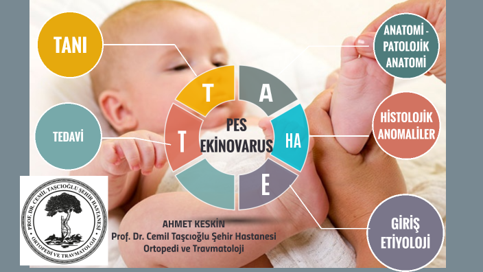 PES EKİNOVARUS by Ahmet Keskin on Prezi