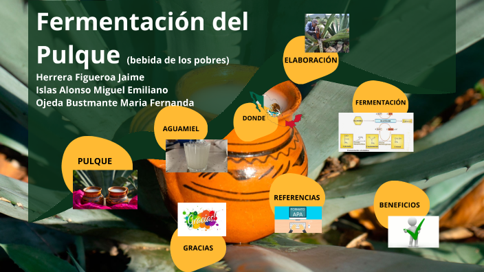 Fermentación Del Pulque By James Herrera On Prezi