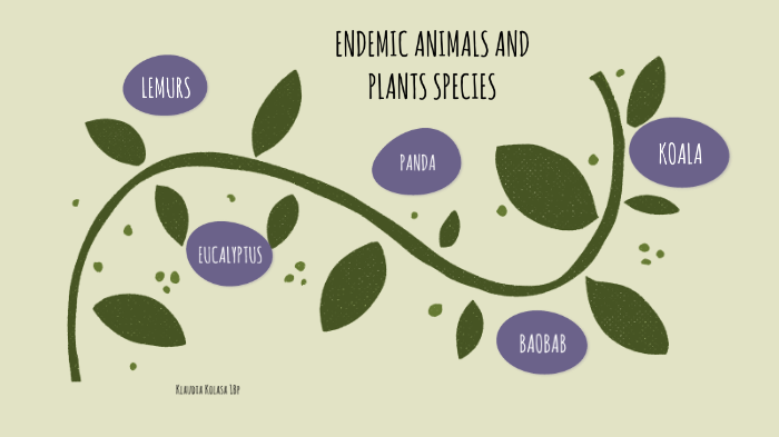 endemic-plants-and-animals-by-klaudia