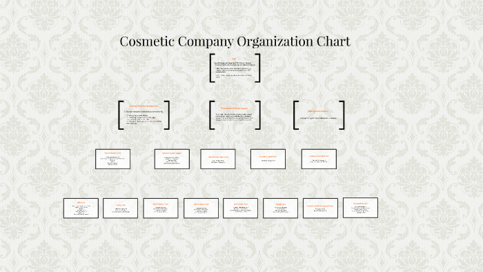 cosmetic-company-organization-chart-by-lee-miji