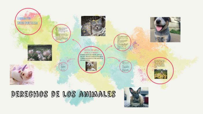 Derechos de los animales by Karina Uribe on Prezi