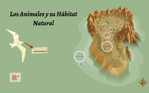 Los Animales y su Hábitat Natural by Liz Rodriguez on Prezi