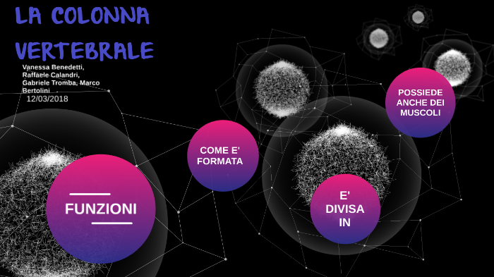 LA COLONNA VERTEBRALE by vanessa benedetti on Prezi