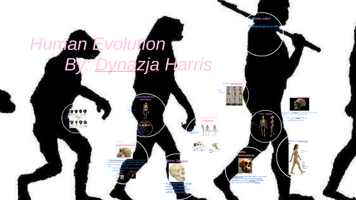 Human Evolution by Dynazja Harris on Prezi