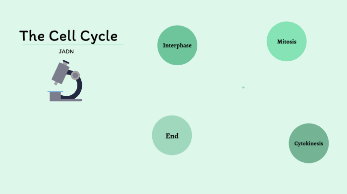 The Cell Cycle by Nicole Medeiros on Prezi