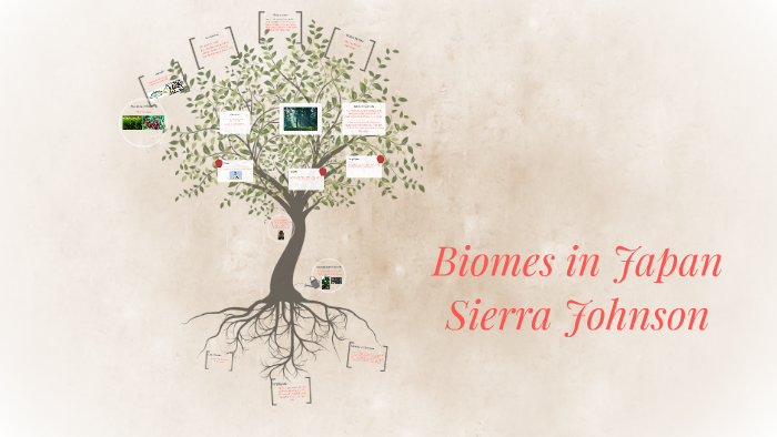 Biomes in Japan by Sierra Johnson on Prezi