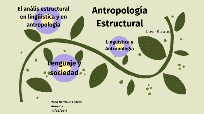 antropologia estructural