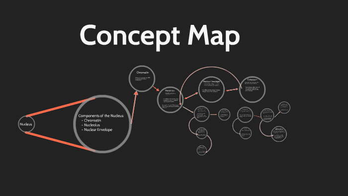 Cell Biology Concept Map by Dylan Mitchell on Prezi