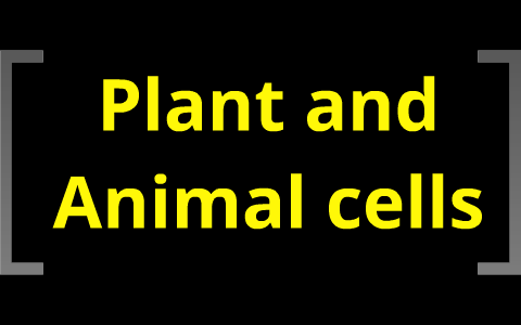 Plant and animal cells by Brian Wells on Prezi