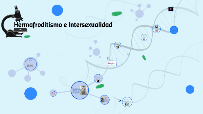 diagrama de genitales intersexuales