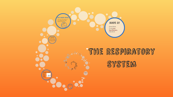 Respiratory System by on Prezi