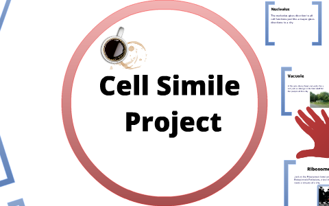 Cell Similes by megan mchone on Prezi