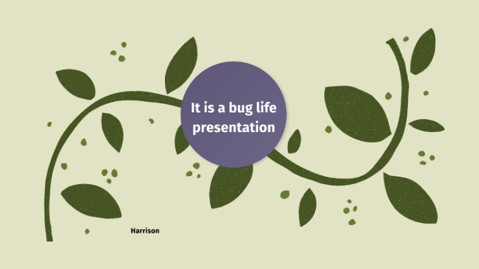 presentation by Harrison Chen on Prezi