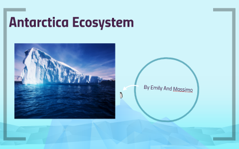 Antartica Ecosystem by Massimo Recupero