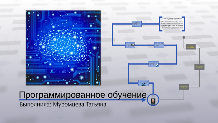 Программированное обучение презентация