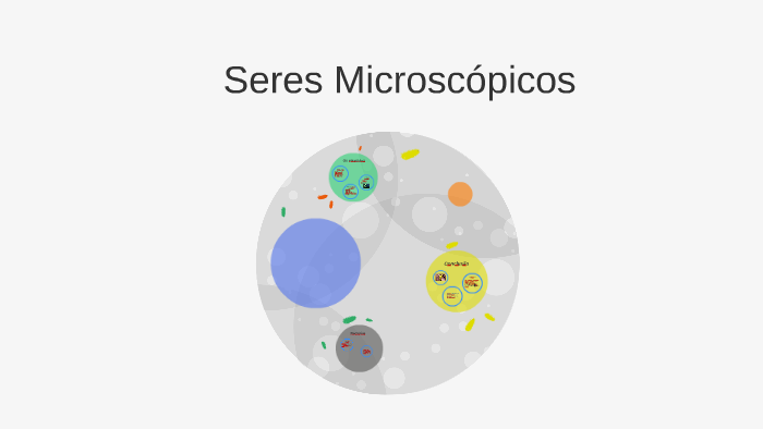 Seres Microscópicos by carlota cordeiro on Prezi