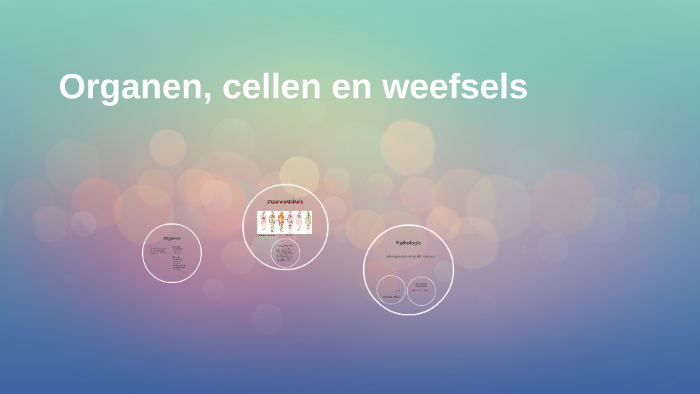 Organen, Cellen En Weefsels By Lynn Van Dongen On Prezi