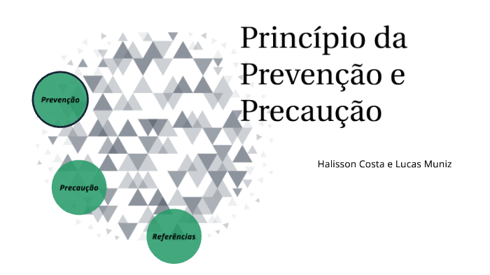 Princípios da Prevenção e da Precaução. by Halisson Costa dos santos on ...