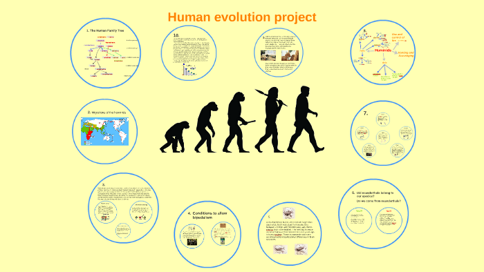 Human Evolution Project By Julianluciamartinafranc Human Evolution Project By Julianluciamartinafranc