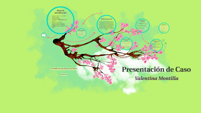 Presentación de Caso by on Prezi