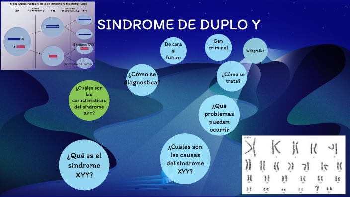 SINDROME DE DUPLO Y by Samanta González on Prezi