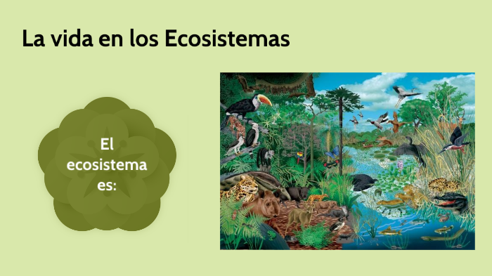 Ecosistemas by Carolina Miralles Vegas on Prezi