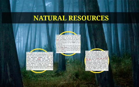 essay about natural resources of the philippines