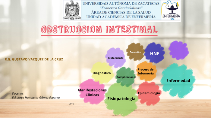 caso clínico obstrucción intestinal by guzs cruz on Prezi