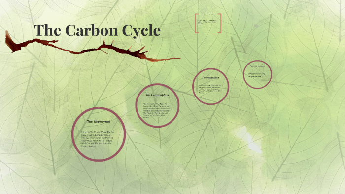 The Carbon Cycle by Mykilah Grayson on Prezi