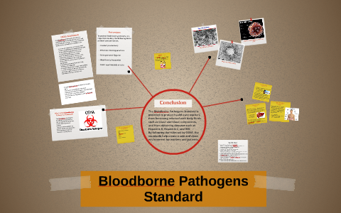 Bloodborne Pathogens Standard By Kaylee Farr On Prezi